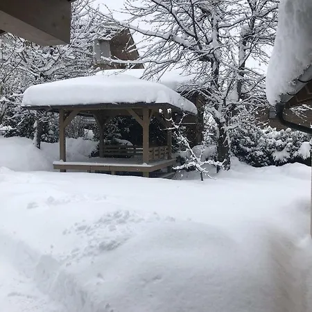 Geigerhaus 500 Jahre - Appt C